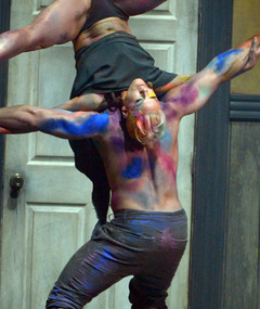 P!nk Amazes at AMAs with Stunt-Filled Performance