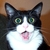 Commenter's Avatar