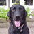 Commenter's Avatar