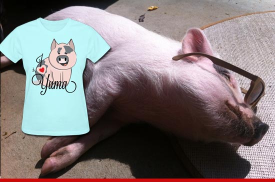 1124_pig_tshirt_sub