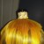 Commenter's Avatar