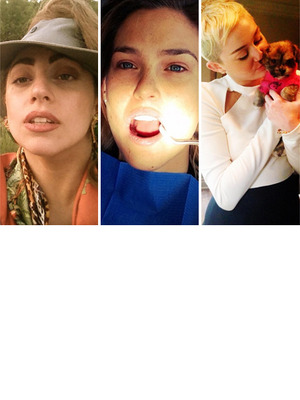 This Week's Best Celebrity TwitPics!