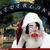 Commenter's Avatar