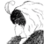 Commenter's Avatar