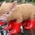 Commenter's Avatar
