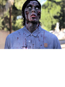 Viral Video: "The Walking Dead" Goes "Gangnam Style"!