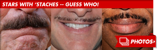 1206_stace_guess_footer