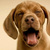 Commenter's Avatar