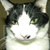 Commenter's Avatar