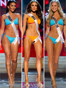 Meet the Miss Universe Contestants! 
