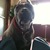 Commenter's Avatar