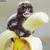 Commenter's Avatar