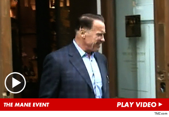 122112_arnold_schwarzenegger_launch