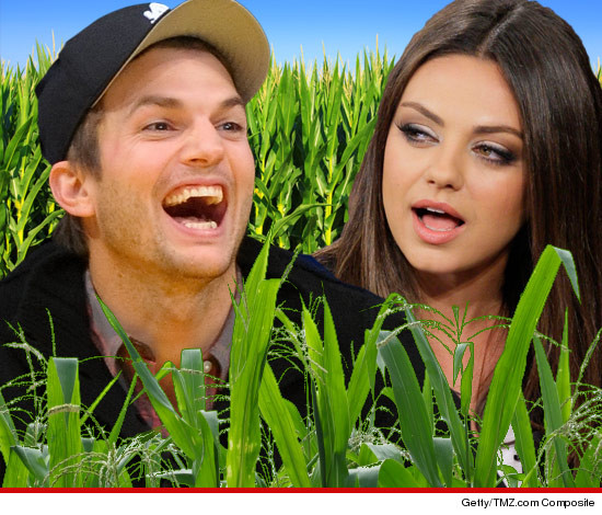 1224-ashton-kutcher-mila-kunis