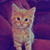 Commenter's Avatar