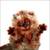 Commenter's Avatar