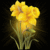 Commenter's Avatar