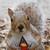 Commenter's Avatar