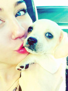 Meet Miley Cyrus' Adorable New Puppy!