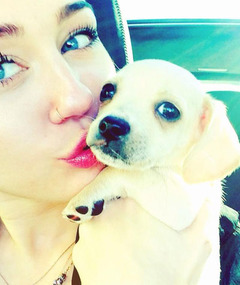 Meet Miley Cyrus' Adorable New Puppy!