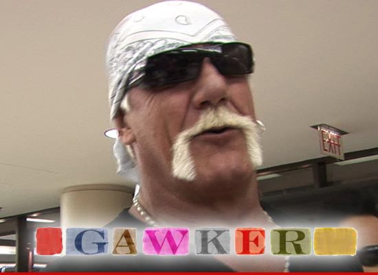 0103_HOGAN_gawker_tmz