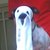Commenter's Avatar