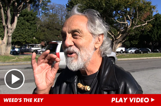 010713_tommy_chong_launch