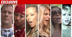 New 'Dancing' Cast -- WWE Star, Rapper, Playmate 