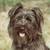 Commenter's Avatar