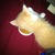 Commenter's Avatar