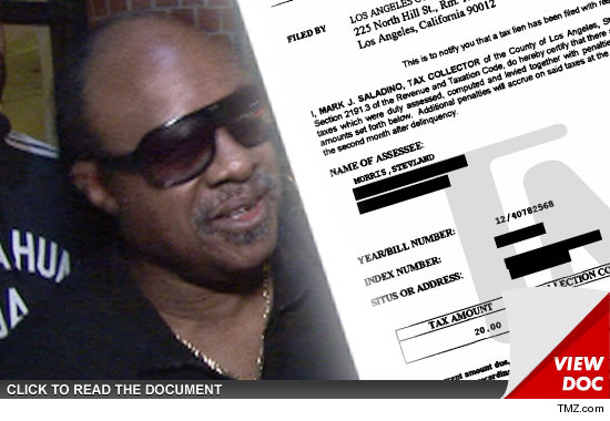 0111-stevie-wonder-doc