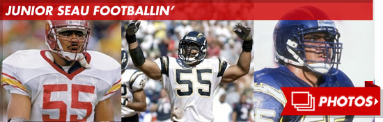 0123_junior_seau_footer