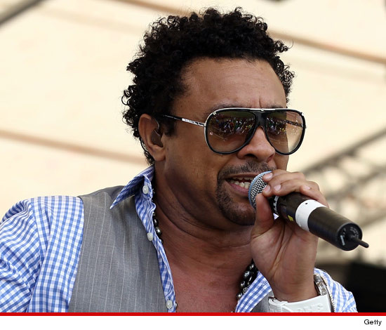 0124-shaggy-getty