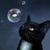 Commenter's Avatar