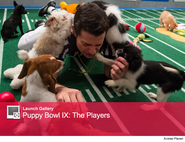 0124_puppy_launch0