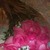 Commenter's Avatar