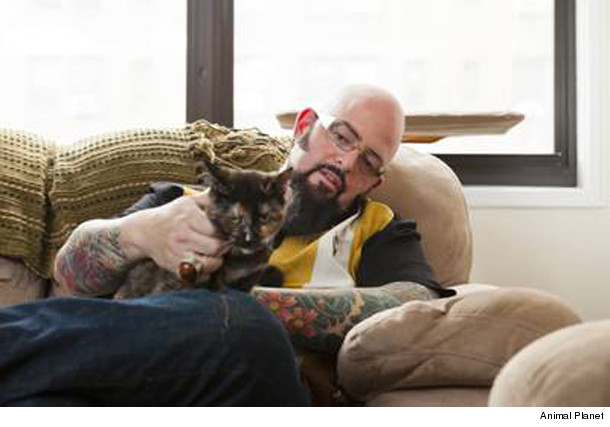 cat_resized