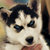 Commenter's Avatar