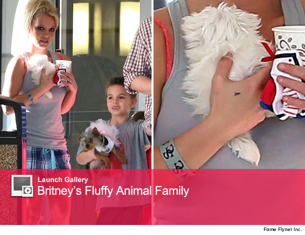 0204_britney_launch