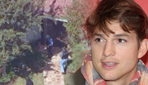 Ashton Kutcher -- 12-Year-Old Boy CHARGED for Swatting Prank