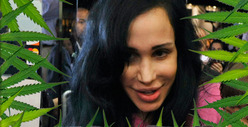 Octomom -- I Can Get STONED and Take Care of 14 Kids!