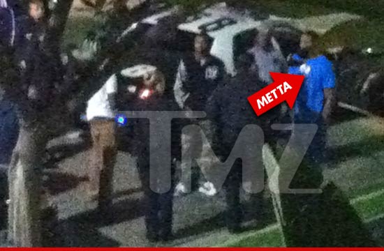 0219_subasset_metta_cops_TMZ