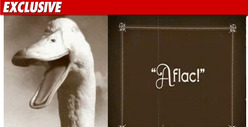 The Aflac Duck -- Silent But Violent