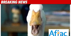 Aflac Duck Gets A 36-Year-Old Male Voice
