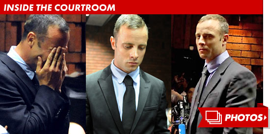 0220_oscar_pistorius_courtroom_footer