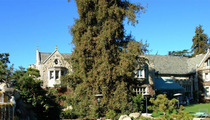 Playboy Mansion -- Bogus 911 Call ... NOT a 'Swatting' Prank