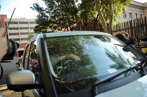 Oscar Pistorius -- Inside the Courtroom