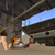 Commenter's Avatar