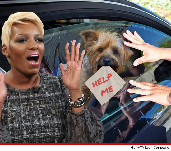 0304-nene-leakes-yorkie-help