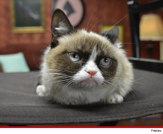 0307_GRUMPY_CAT